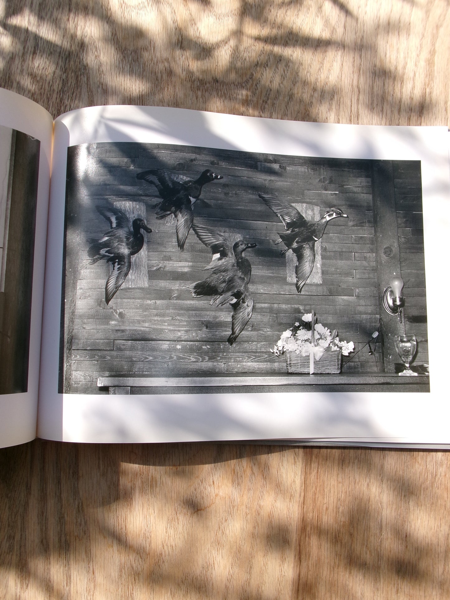 Yoshiko Kamikura/NATURITA