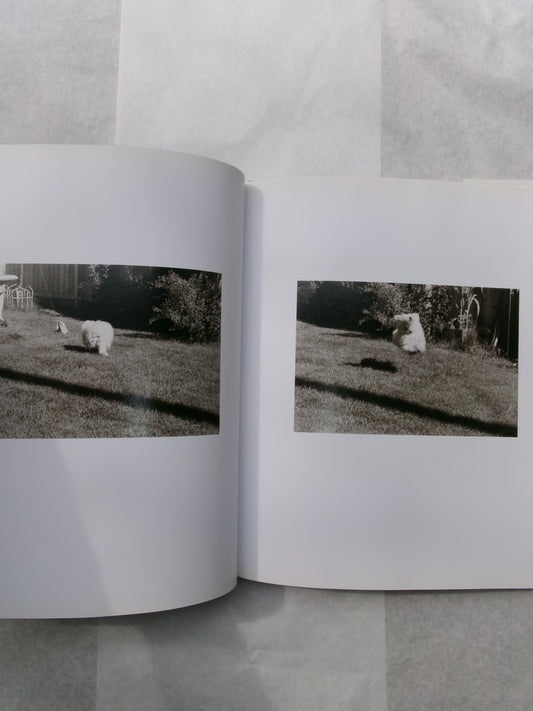 Robert Adams/I Hear The Leaves And Love The Light