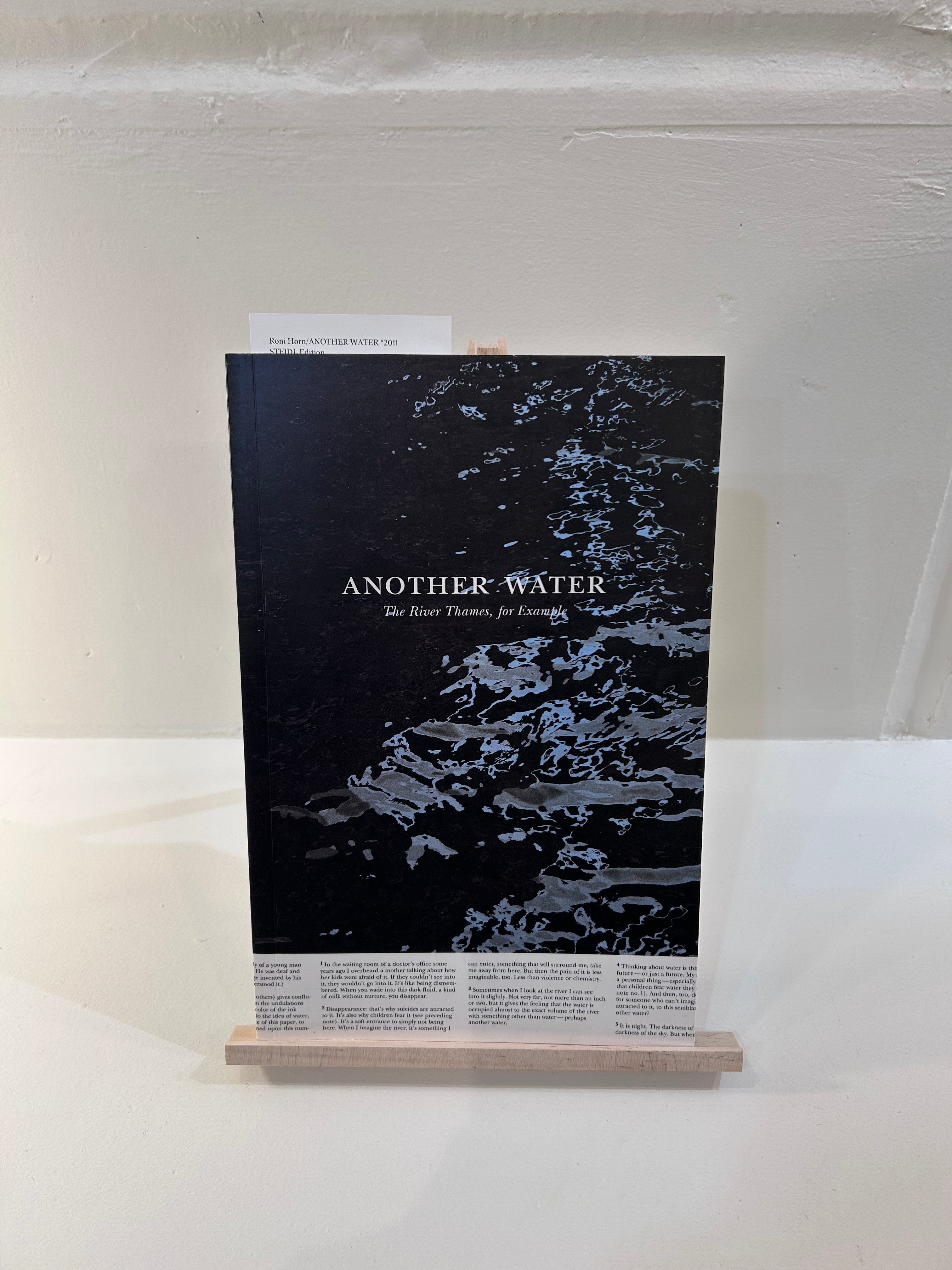 Roni Horn/ANOTHER WATER *2011 STEIDL Edition – dailystore