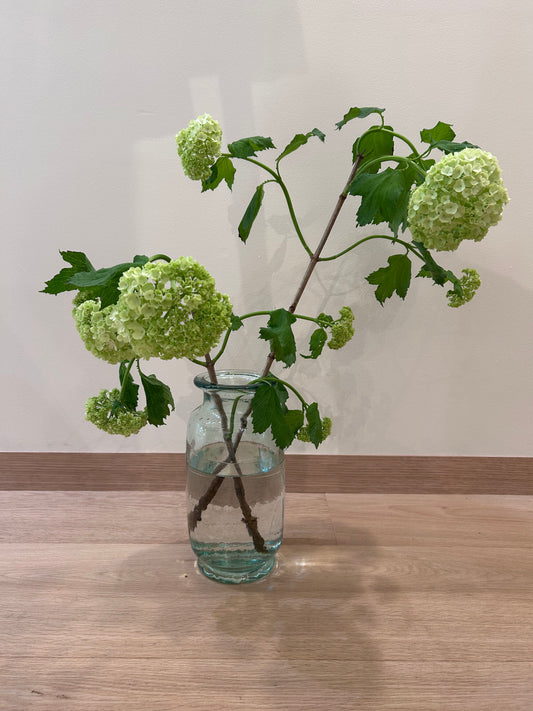 Glass Vase