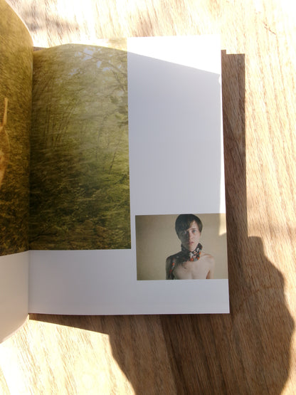 Ryan Mcginley/Daydreaming