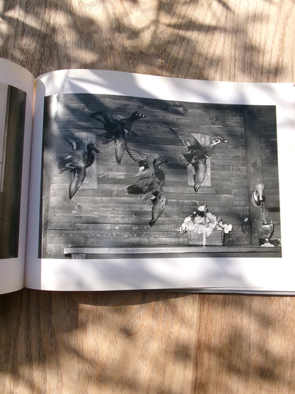 Yoshiko Kamikura/NATURITA