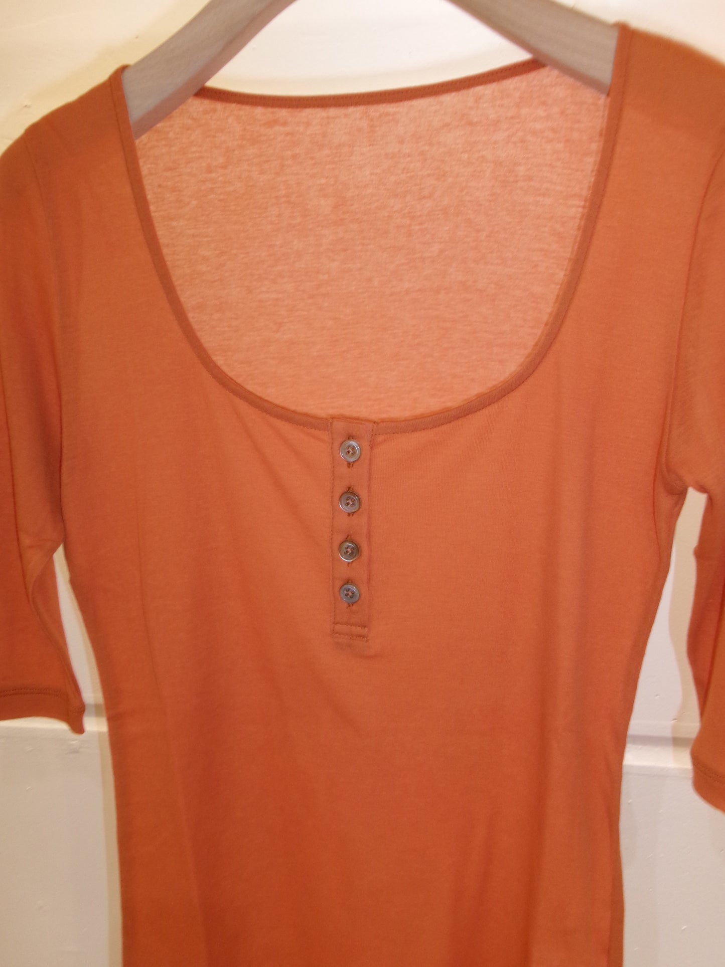 Ernie Palo Sheer Rib Henry T-shirt -Orange-