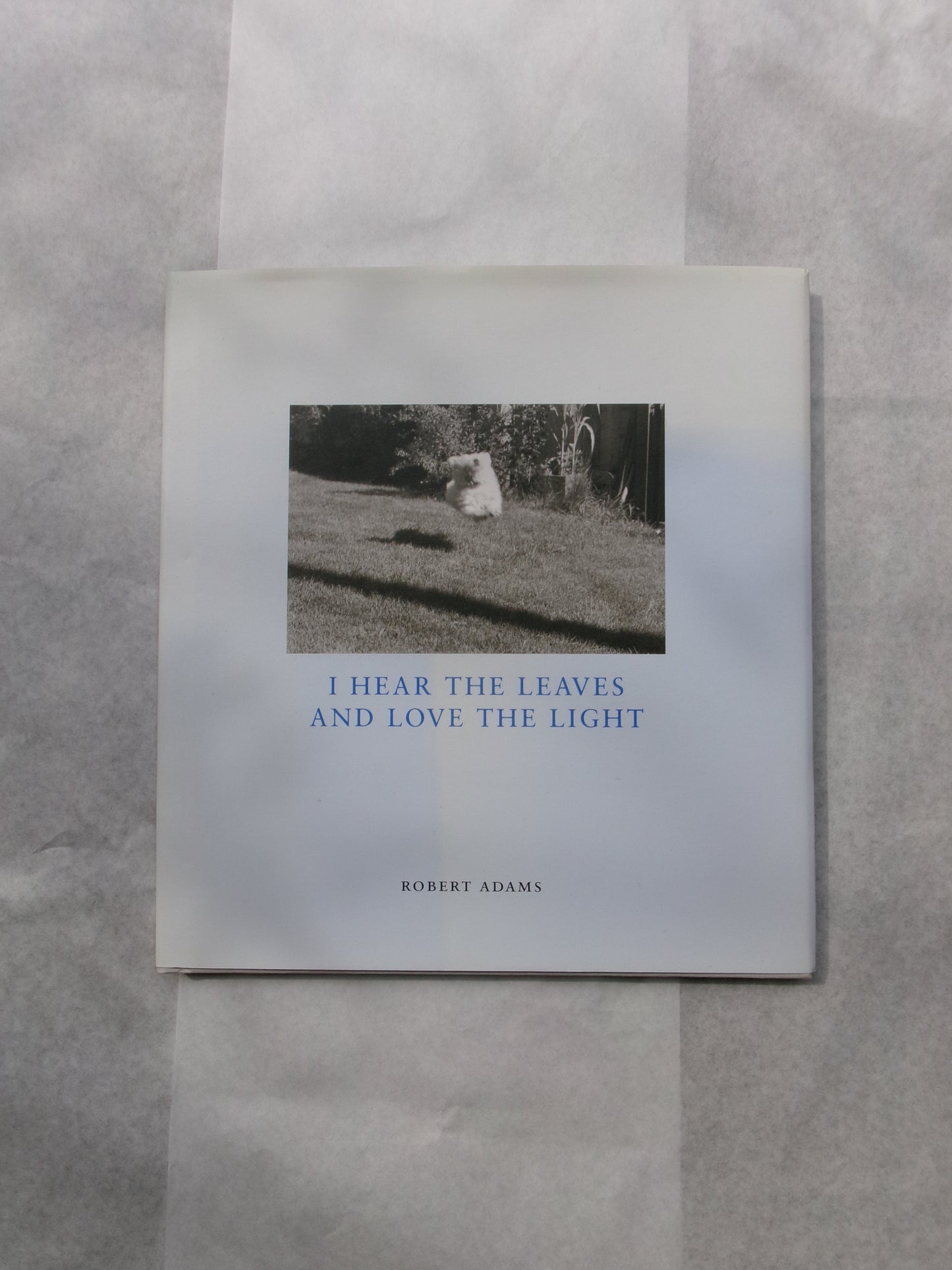 Robert Adams/I Hear The Leaves And Love The Light