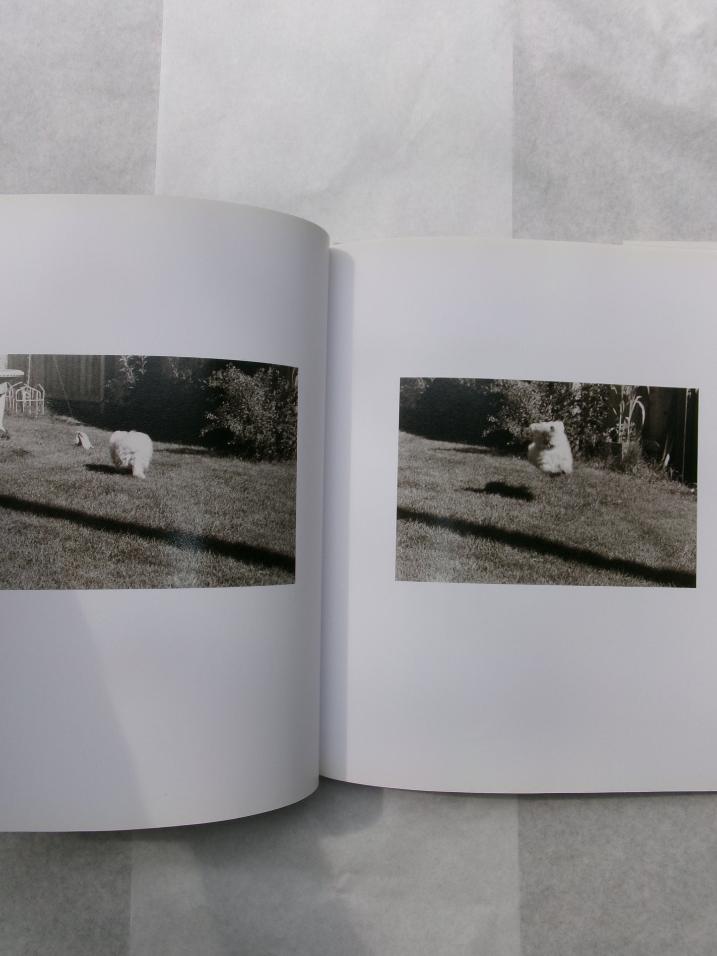 Robert Adams/I Hear The Leaves And Love The Light