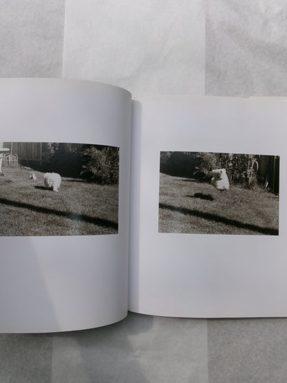 Robert Adams/I Hear The Leaves And Love The Light