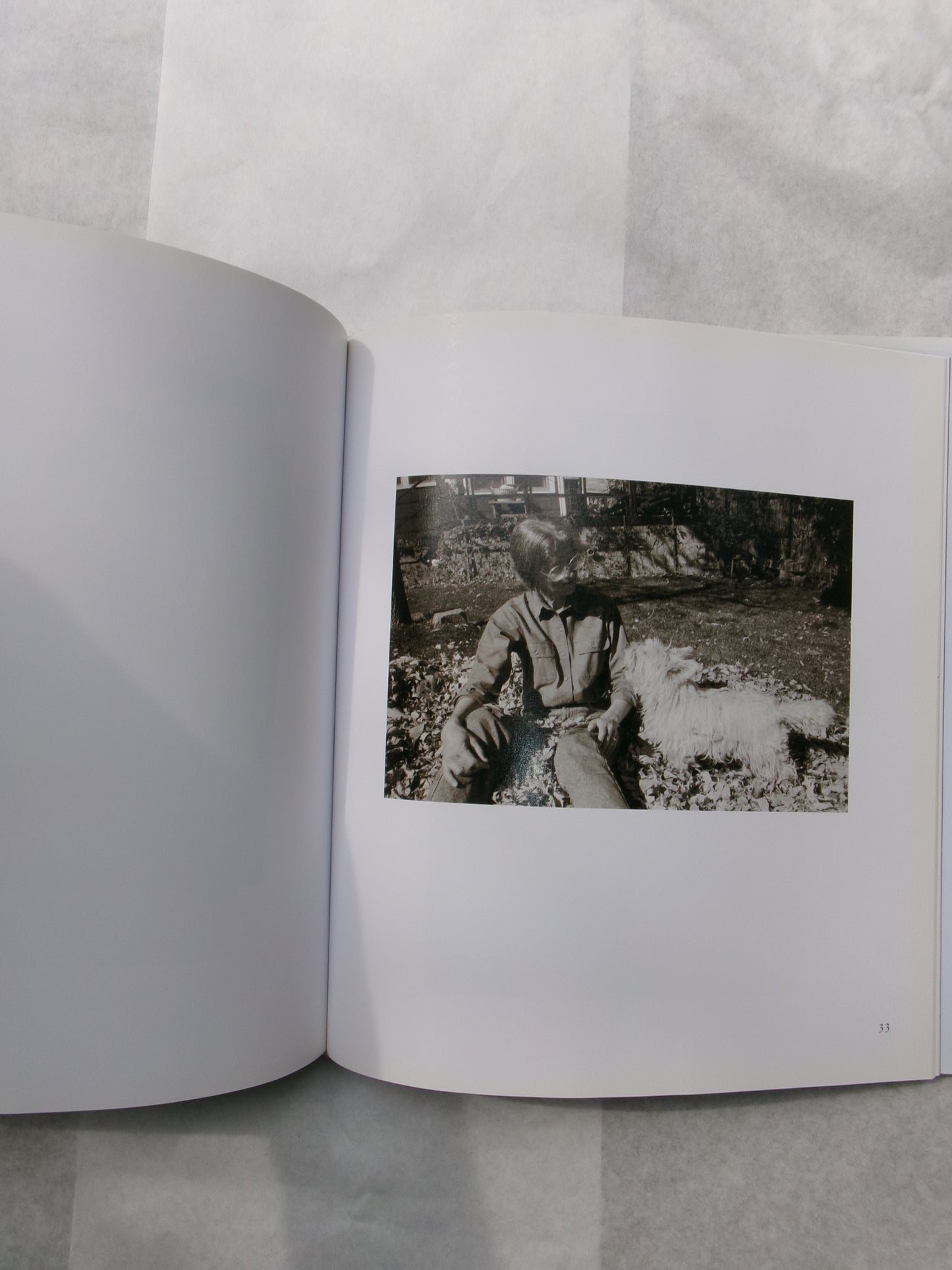 Robert Adams/I Hear The Leaves And Love The Light