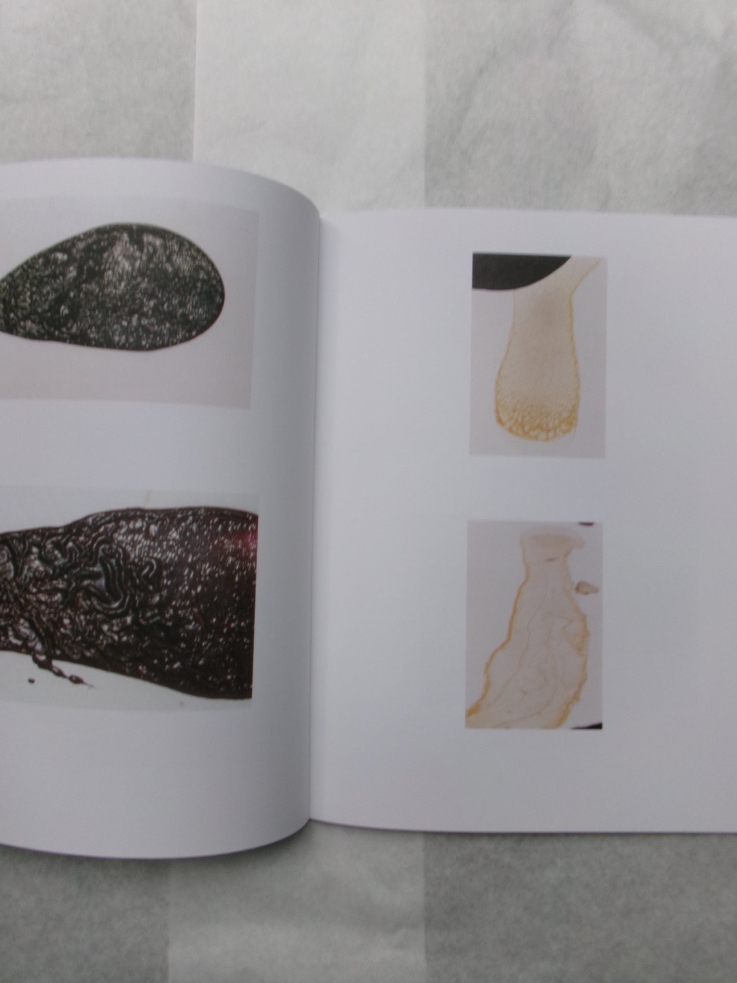 Anders Edstrom/Safari