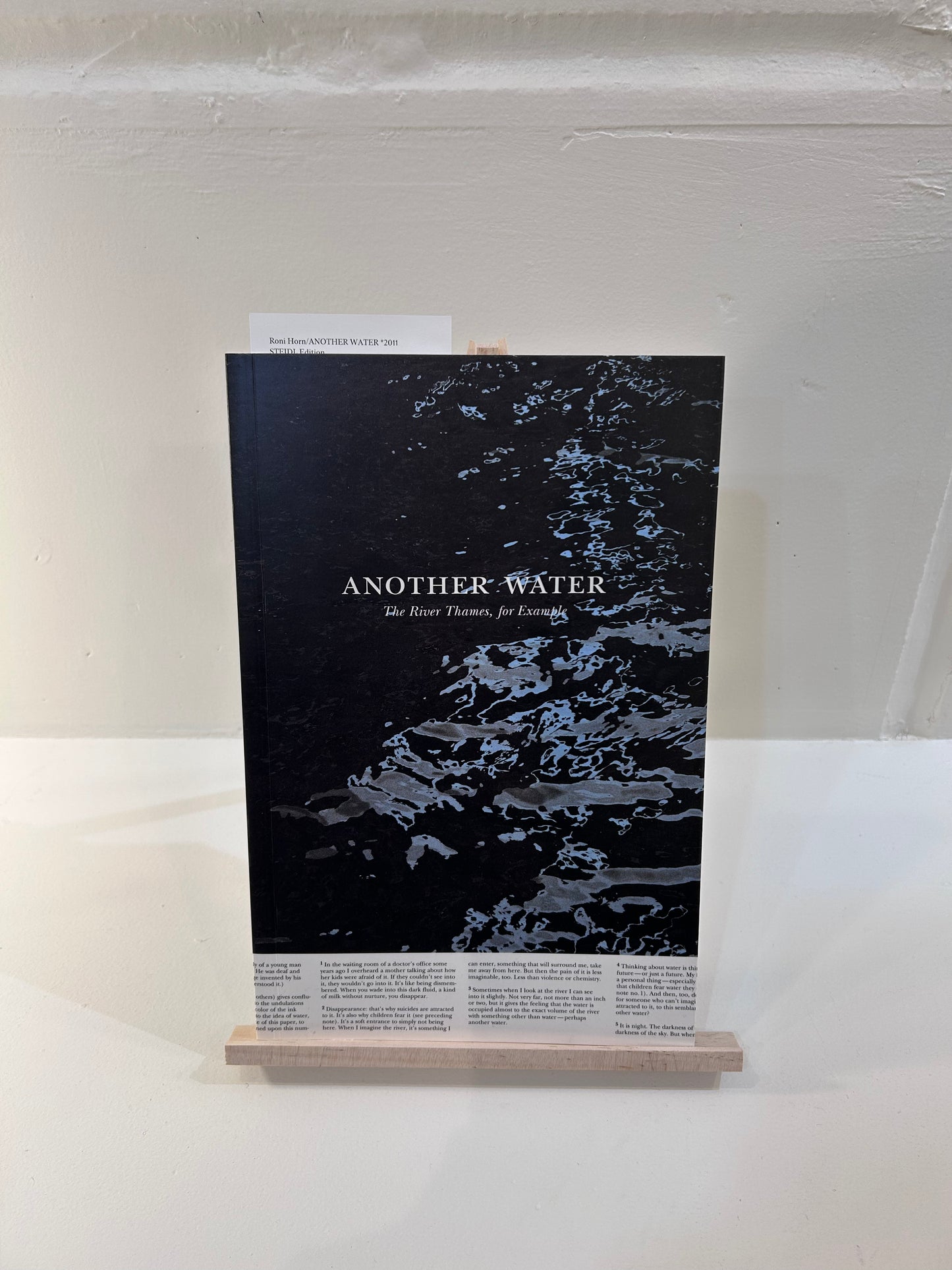 Roni Horn/ANOTHER WATER *2011 STEIDL Edition