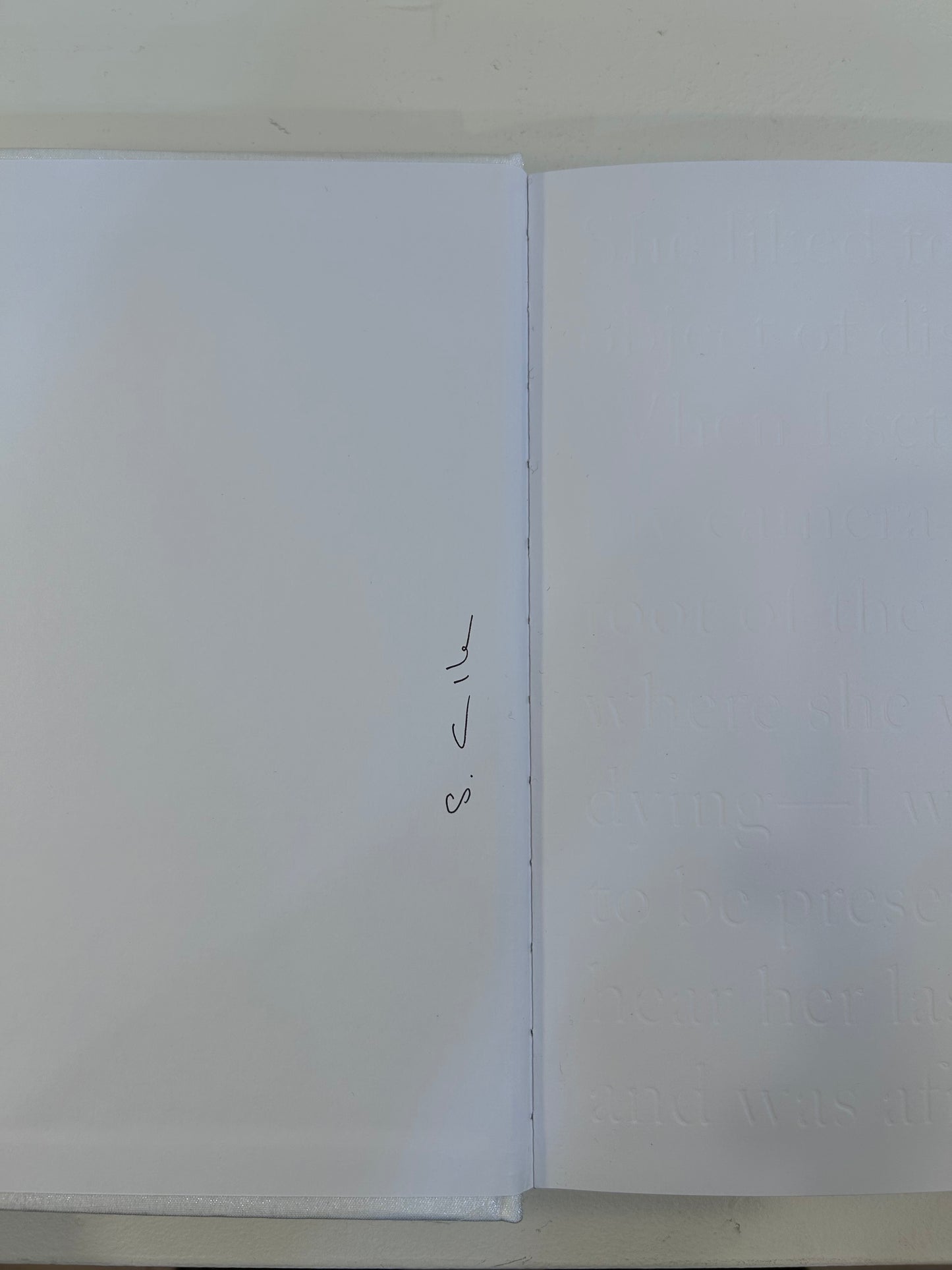 Sophie Calle/Rachel,Monique...