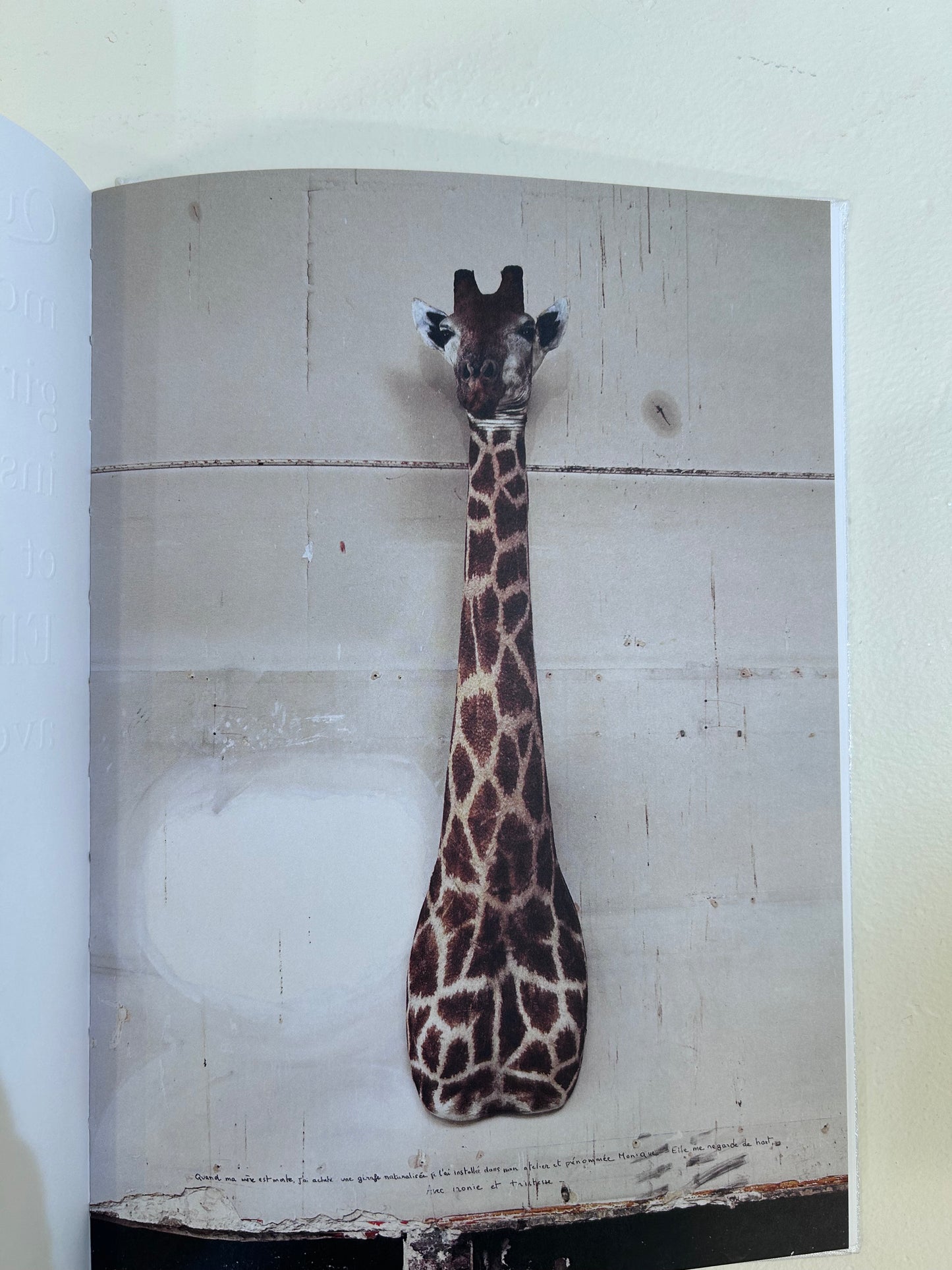 Sophie Calle/Rachel,Monique...