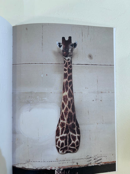 Sophie Calle/Rachel,Monique...