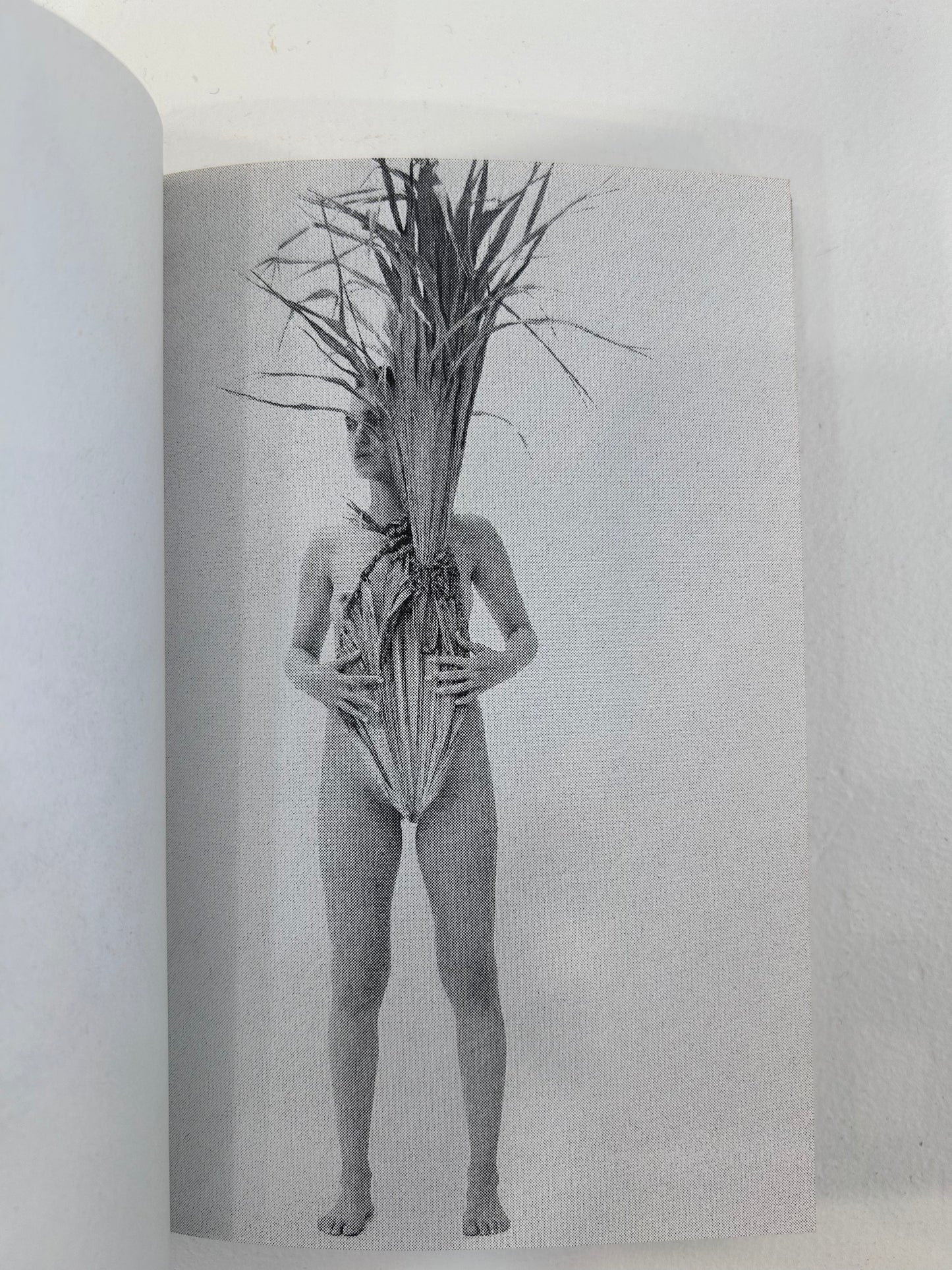 Hiroko Matsubara/mono II
