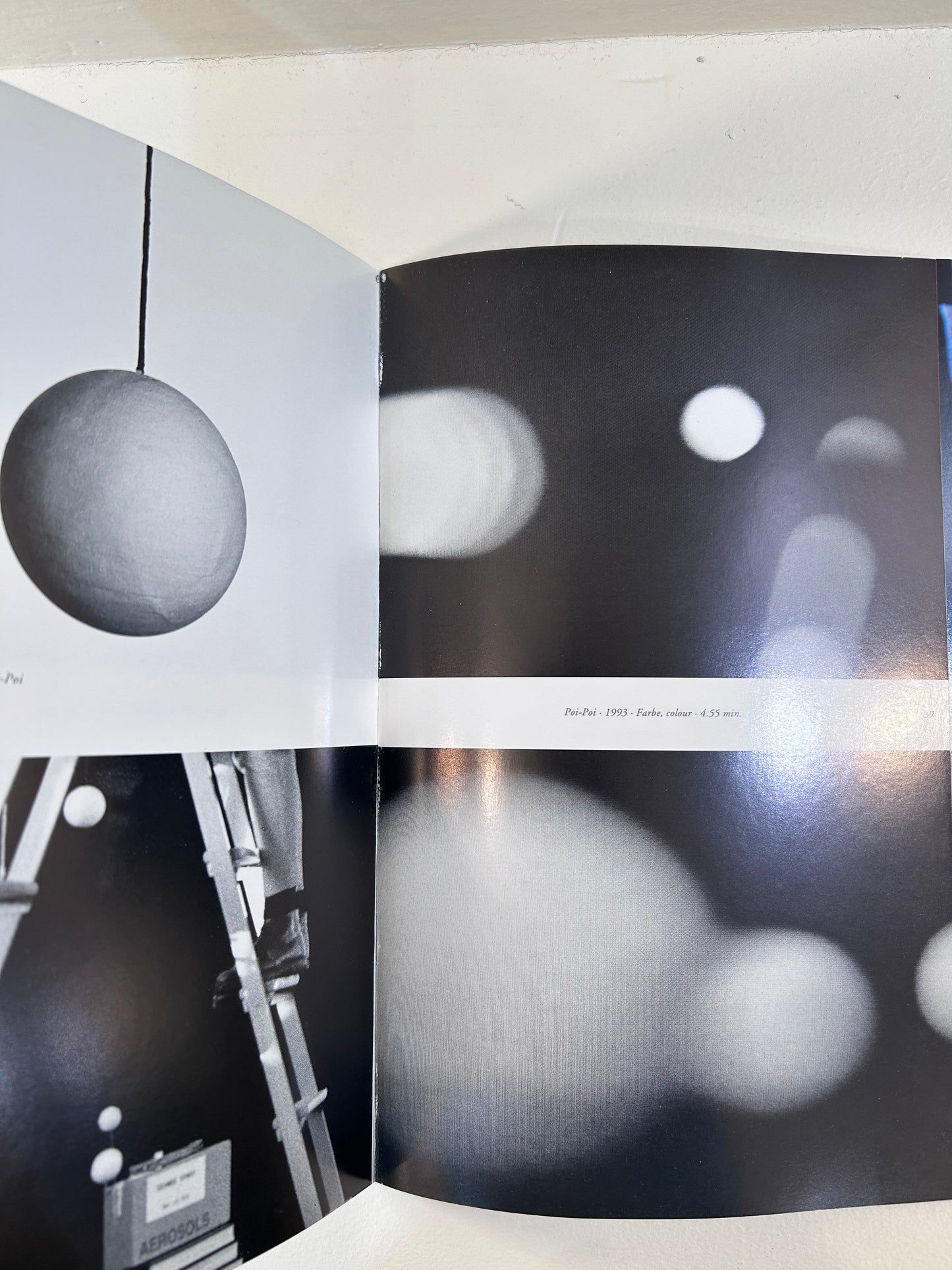 Rosemarie Trockel/Anima